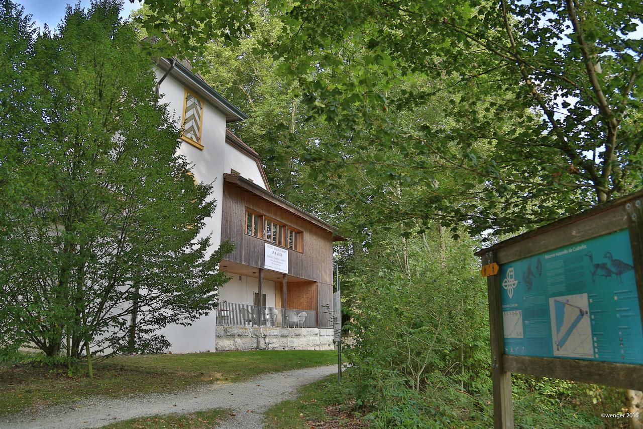 Hotel Domaine De La Sauge Cudrefin Экстерьер фото